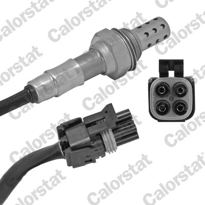 Oxygen Sensor